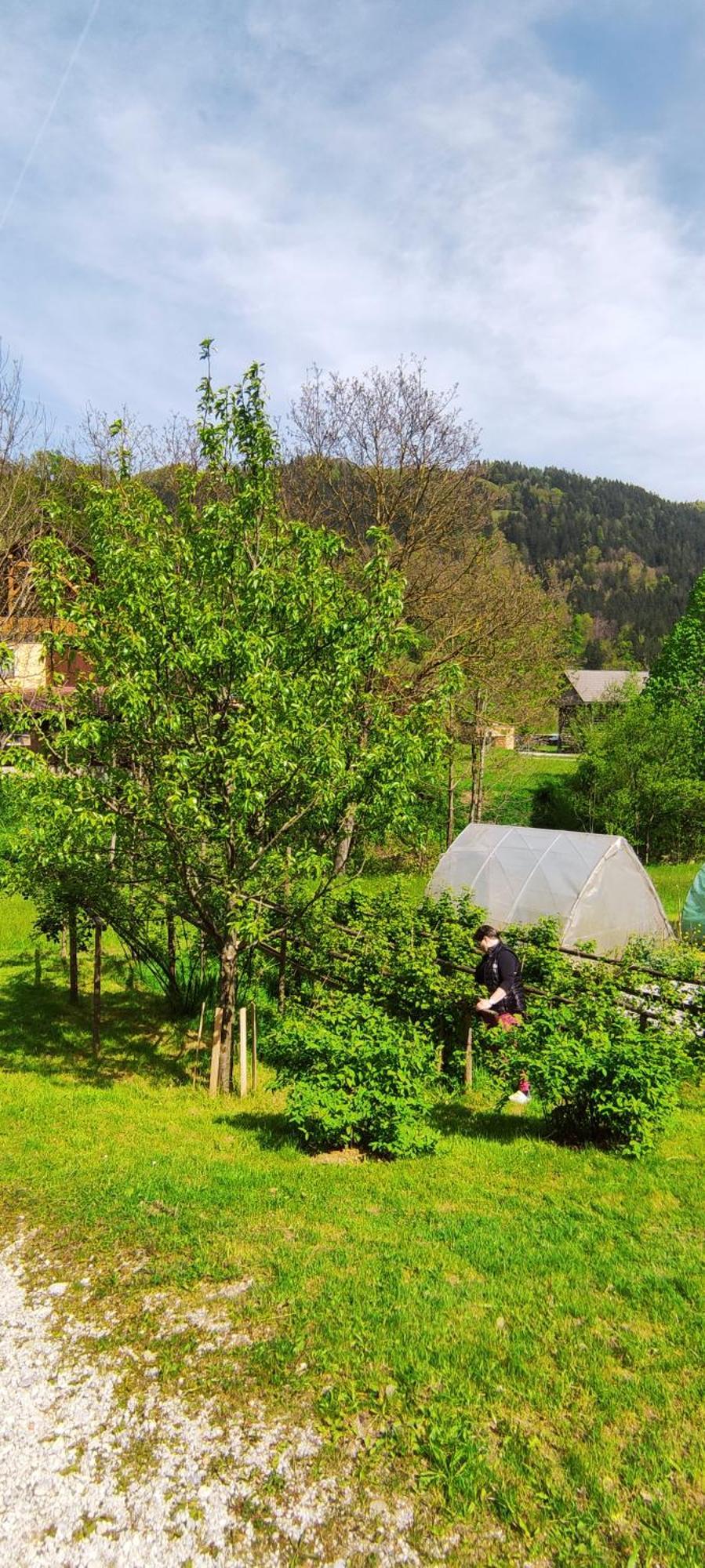 Domacija Markc Zelezniki Exterior foto