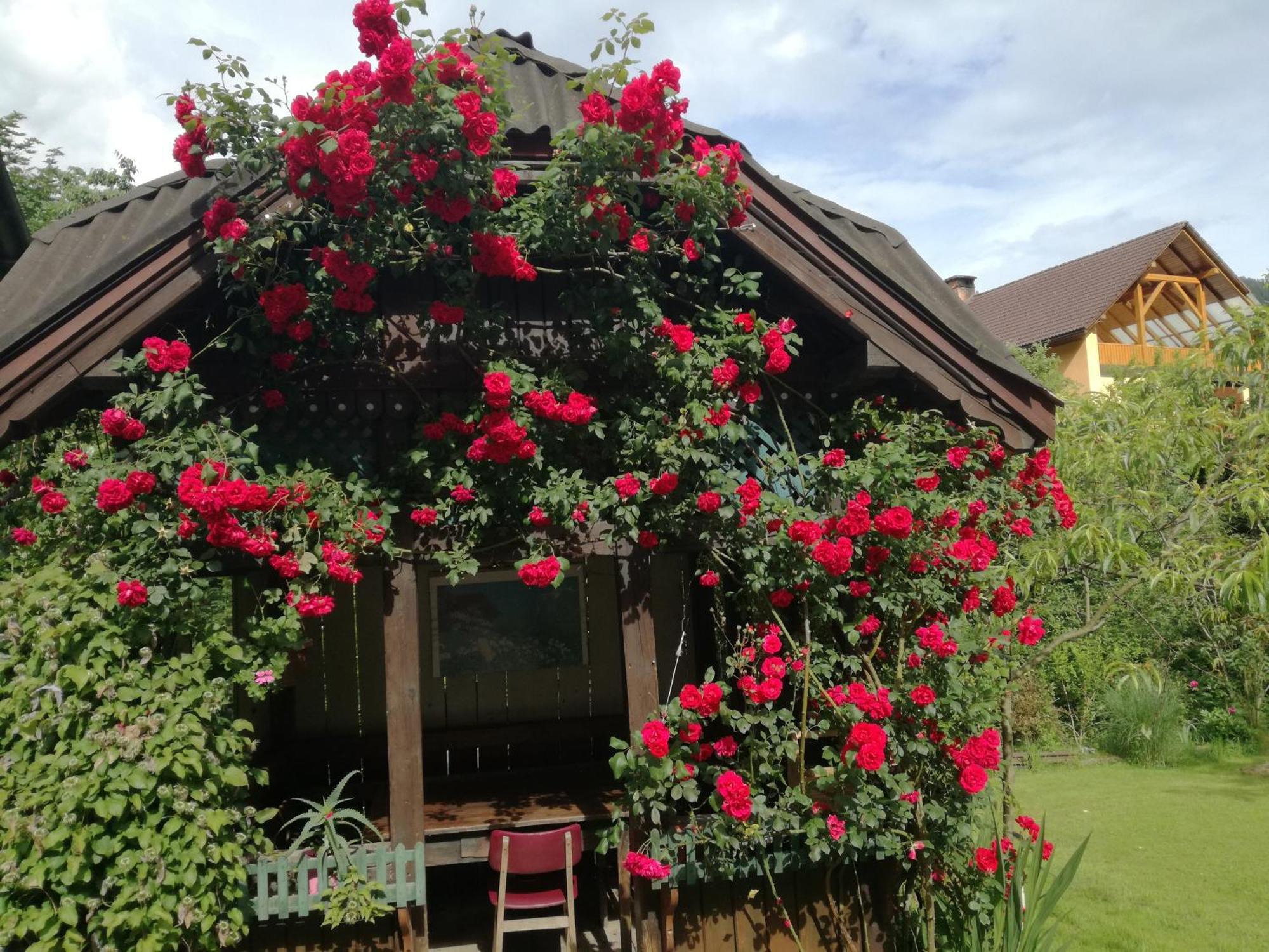 Domacija Markc Zelezniki Exterior foto