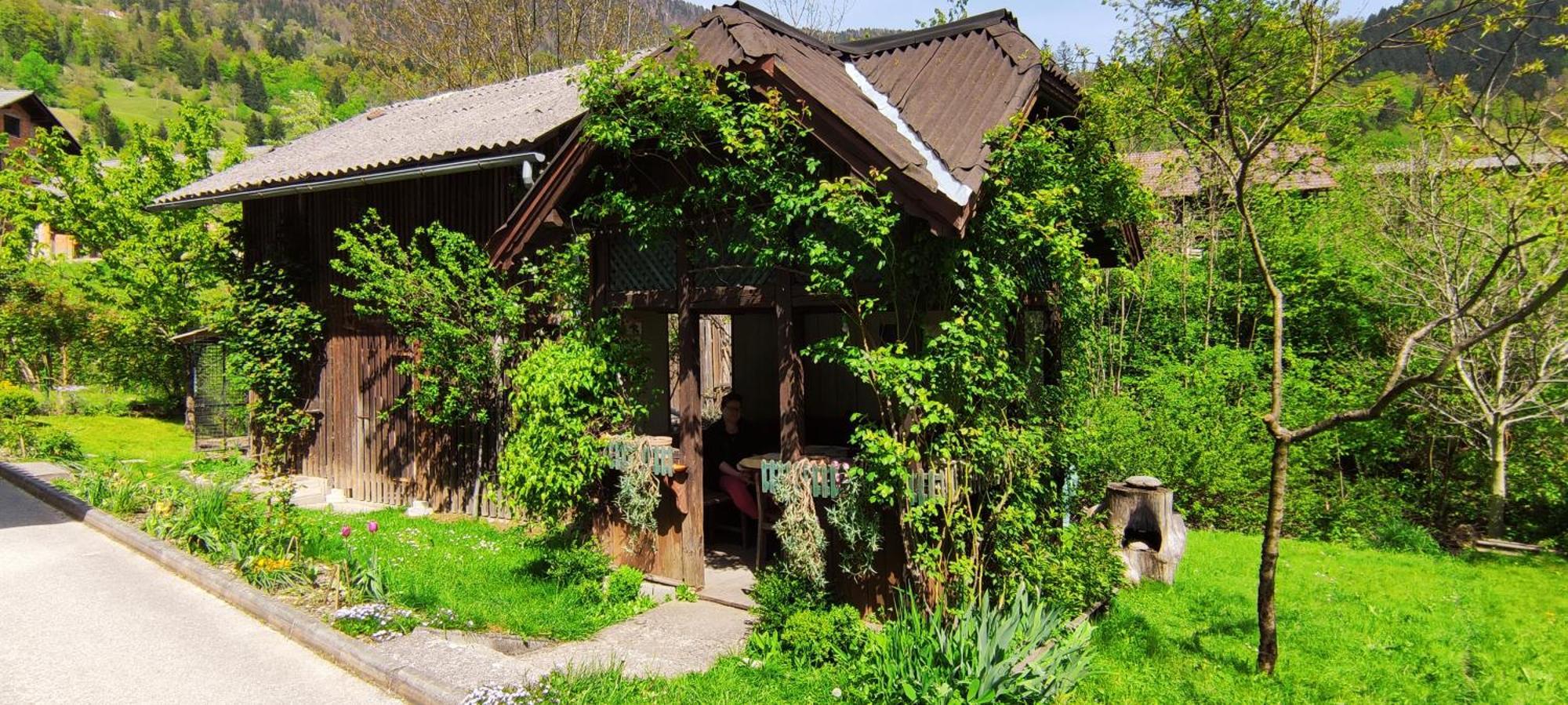 Domacija Markc Zelezniki Exterior foto