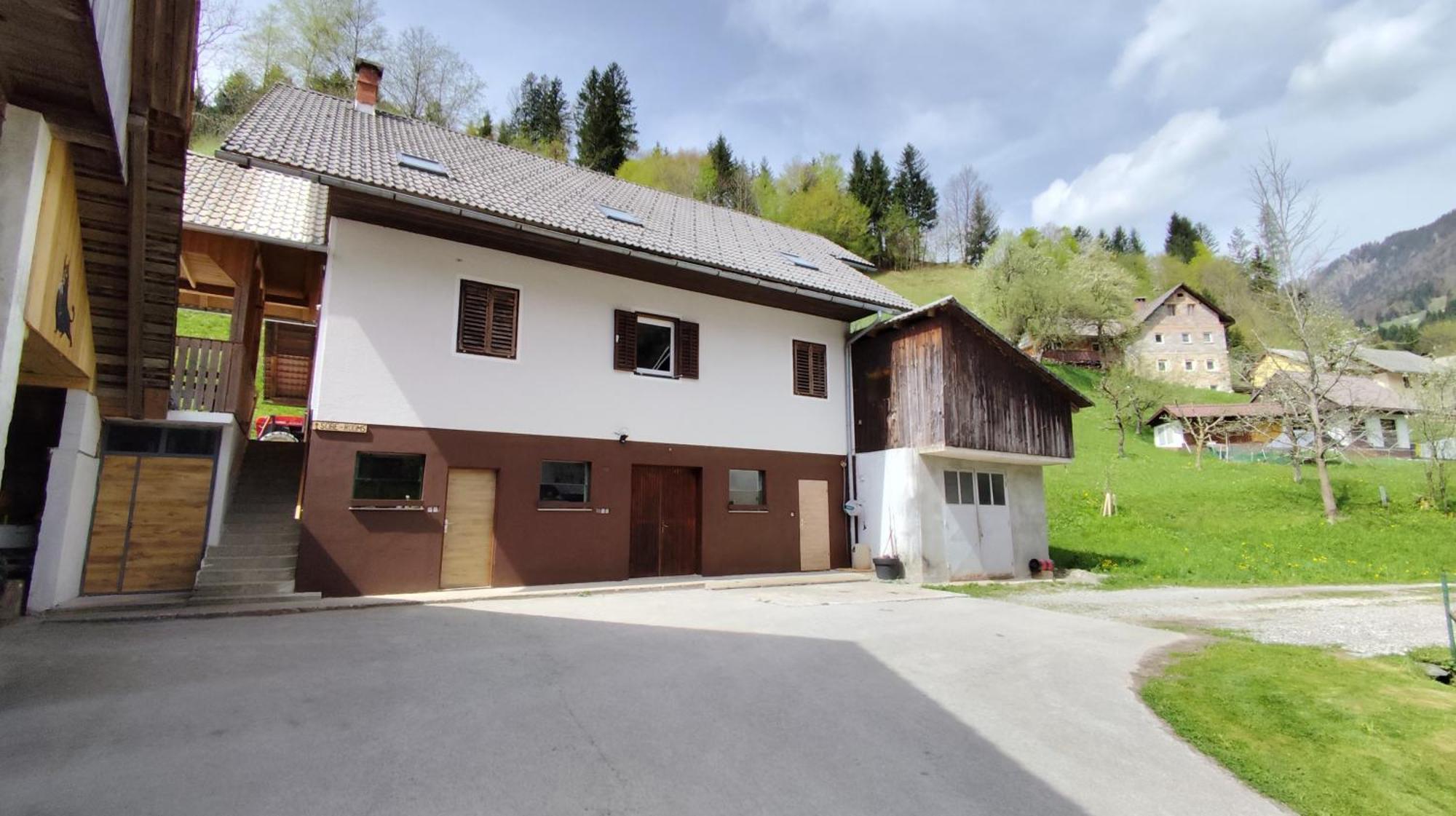 Domacija Markc Zelezniki Exterior foto
